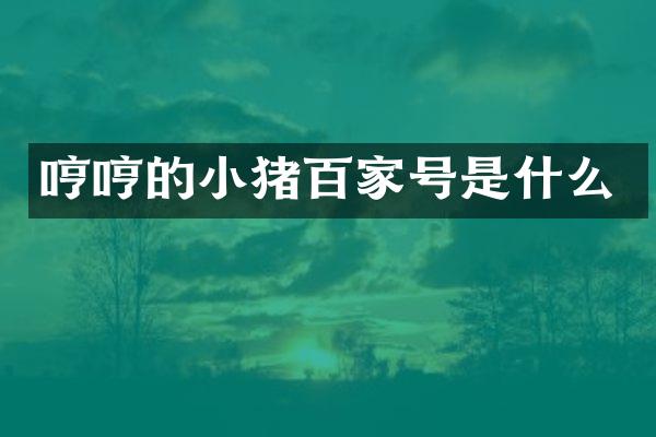 哼哼的小猪百家号是什么
