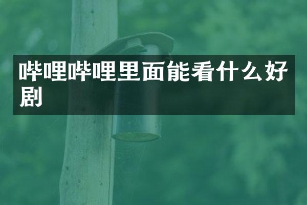 哔哩哔哩里面能看什么好剧