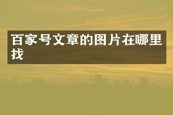 百家号文章的图片在哪里找