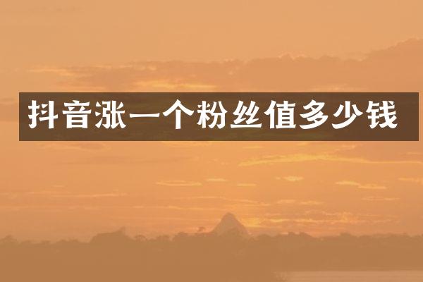 抖音涨一个粉丝值多少钱