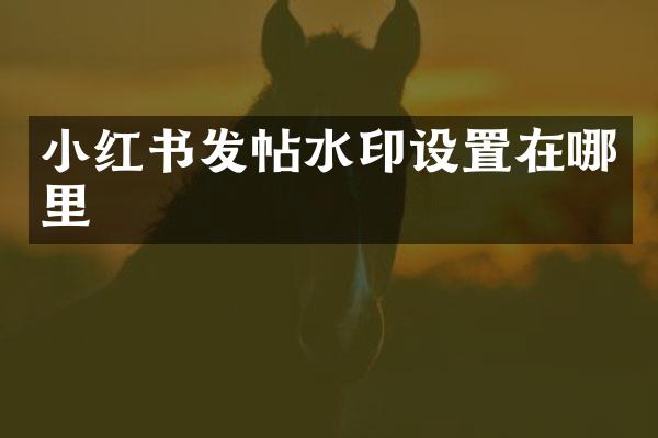 小红书发帖水印设置在哪里