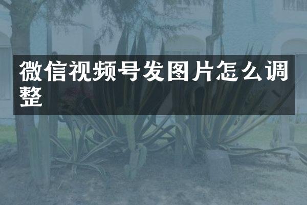 微信视频号发图片怎么调整