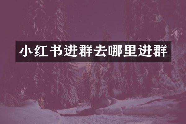 小红书进群去哪里进群