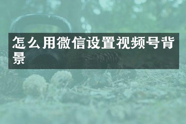 怎么用微信设置视频号背景