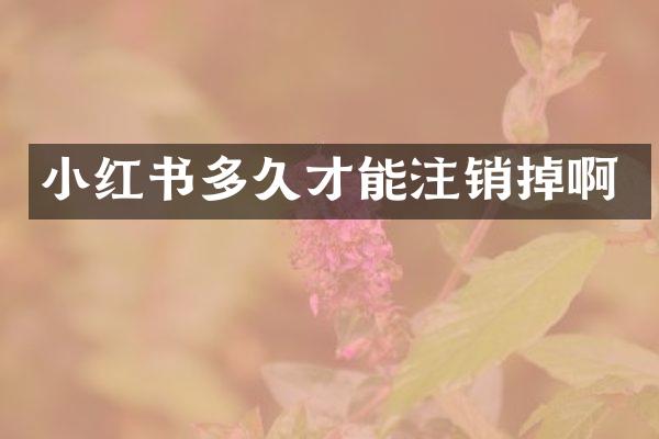 小红书多久才能注销掉啊