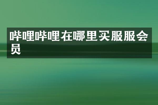哔哩哔哩在哪里买服服会员