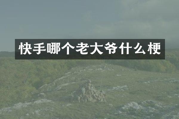 快手哪个老大爷什么梗
