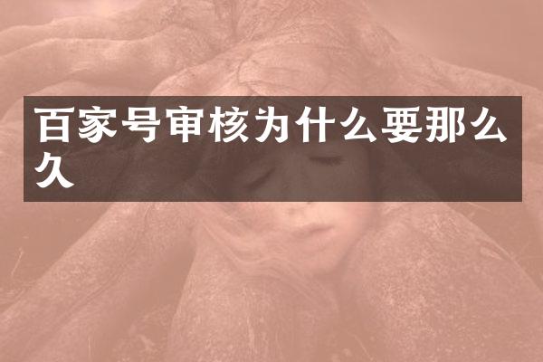 百家号审核为什么要那么久