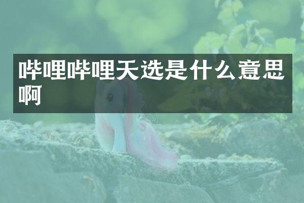 哔哩哔哩天选是什么意思啊