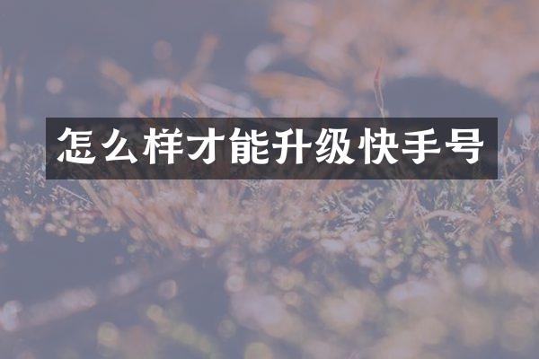 怎么样才能升级快手号
