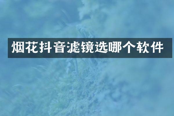 抖音滤镜选哪个软件