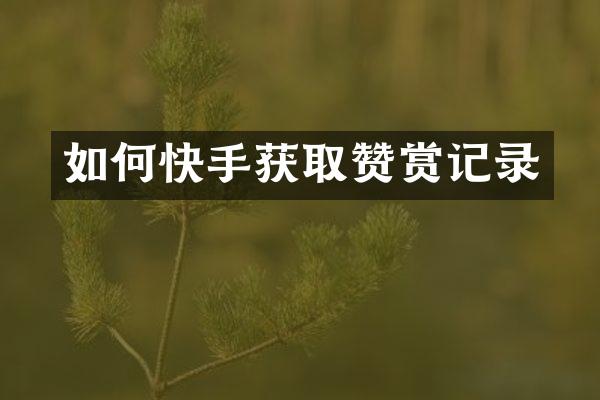 如何快手获取赞赏记录