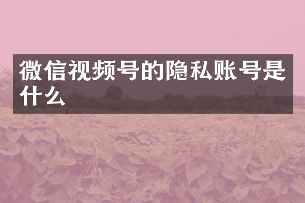 微信视频号的隐私账号是什么