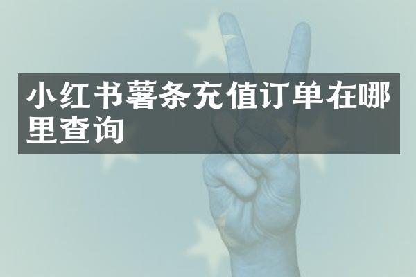 小红书薯条充值订单在哪里查询