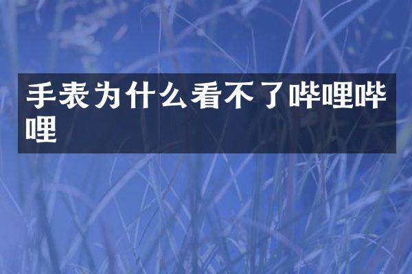 手表为什么看不了哔哩哔哩