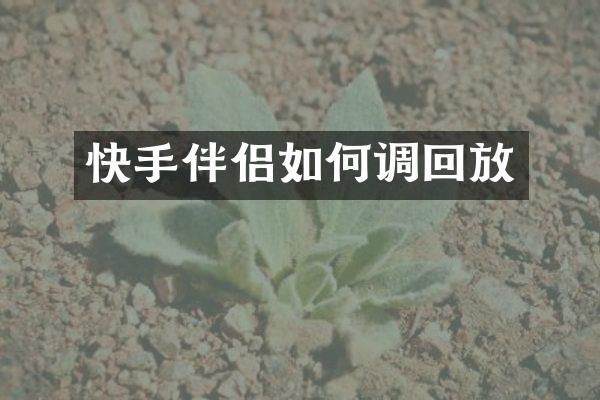 快手伴侣如何调回放