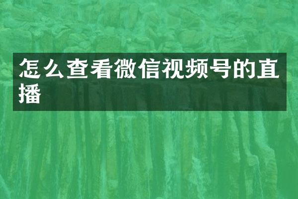 怎么查看微信视频号的直播