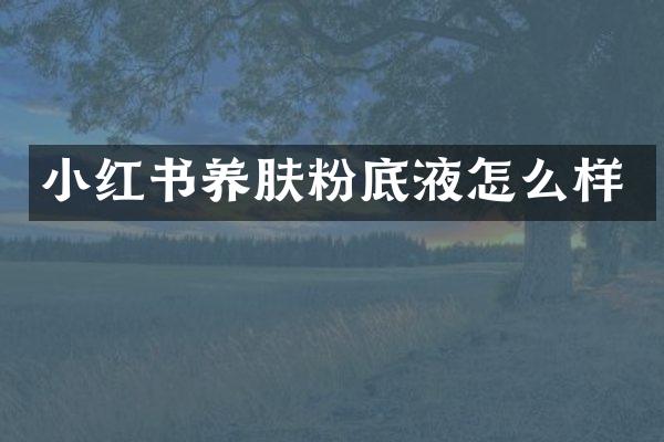 小红书养肤粉底液怎么样