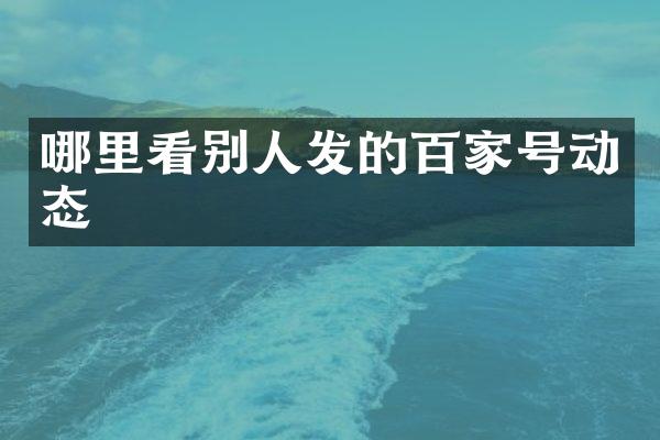 哪里看别人发的百家号动态