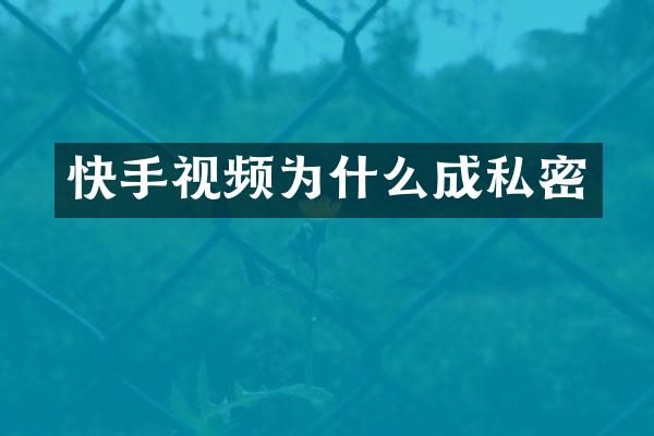 快手视频为什么成私密