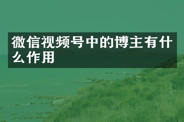 微信视频号中的博主有什么作用