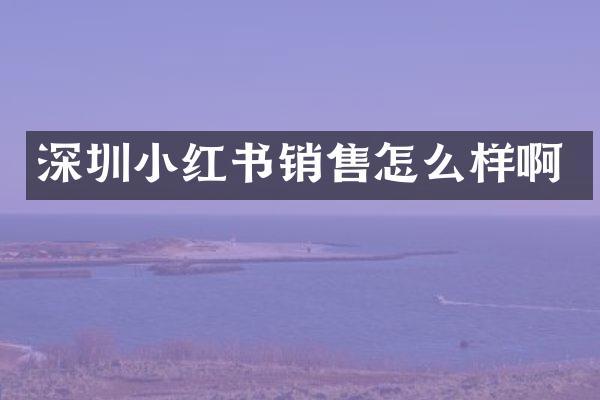 深圳小红书销售怎么样啊