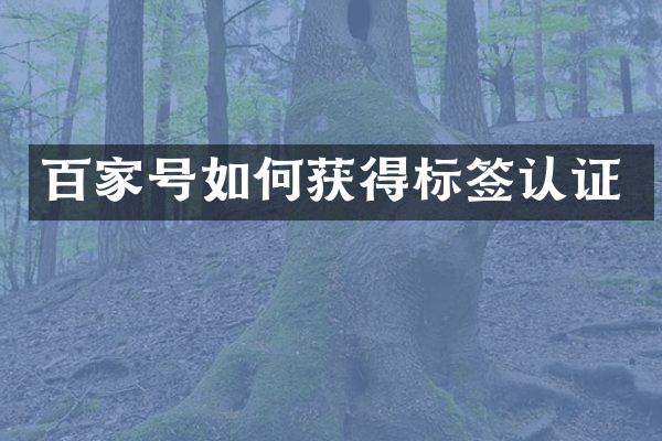 百家号如何获得标签认证