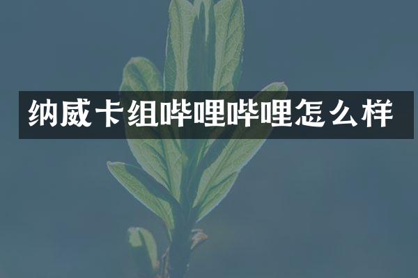 纳威卡组哔哩哔哩怎么样
