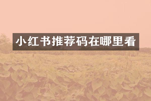 小红书推荐码在哪里看