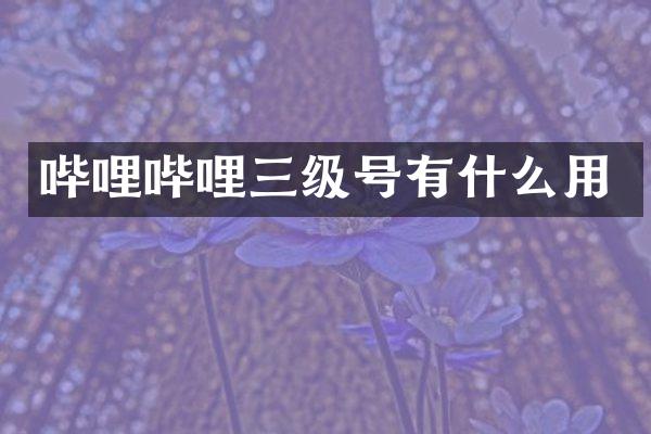 哔哩哔哩三级号有什么用