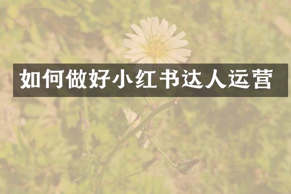如何做好小红书达人运营