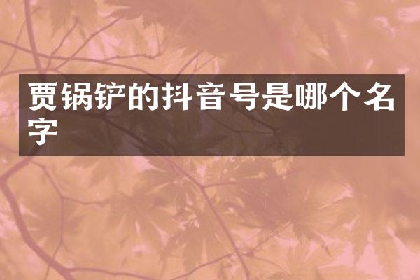 贾锅铲的抖音号是哪个名字