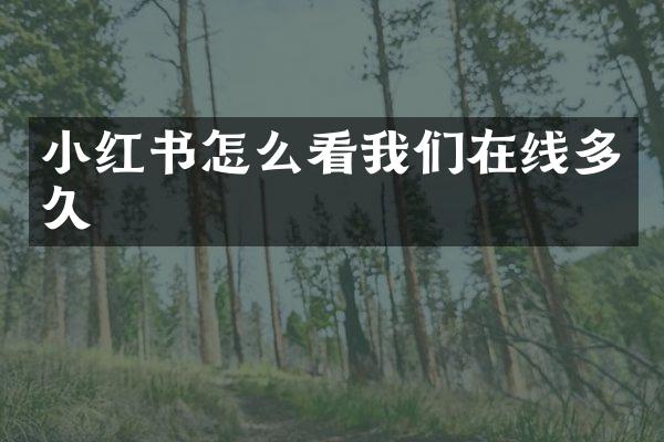 小红书怎么看我们在线多久