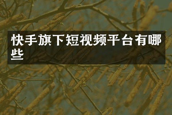 快手旗下短视频平台有哪些