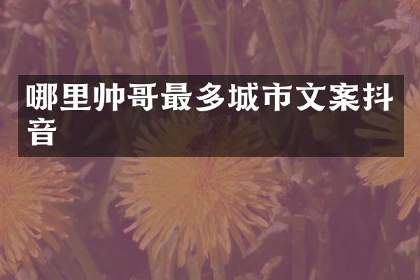哪里帅哥最多城市文案抖音