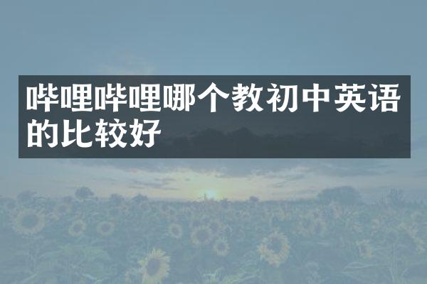 哔哩哔哩哪个教初中英语的比较好