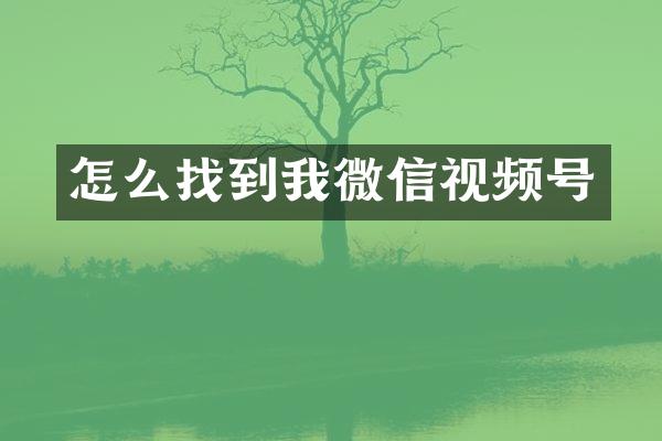 怎么找到我微信视频号