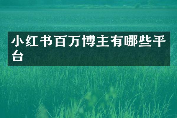 小红书百万博主有哪些平台