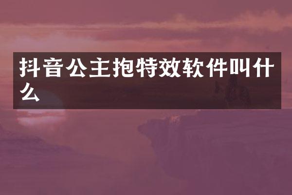 抖音公主抱特效软件叫什么