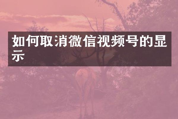 如何取消微信视频号的显示
