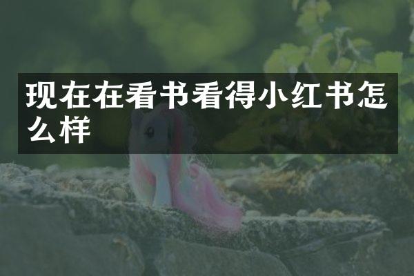 现在在看书看得小红书怎么样