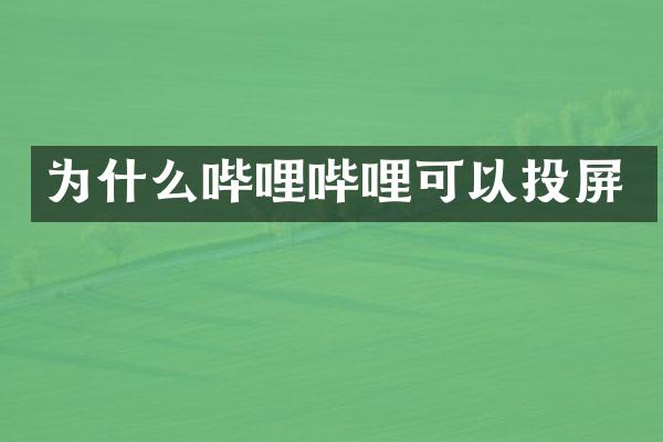 为什么哔哩哔哩可以投屏