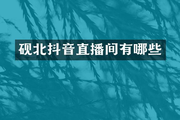 砚北抖音直播间有哪些