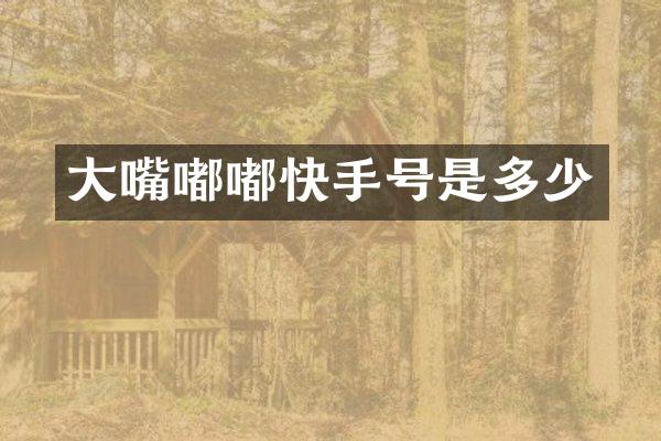 大嘴嘟嘟快手号是多少