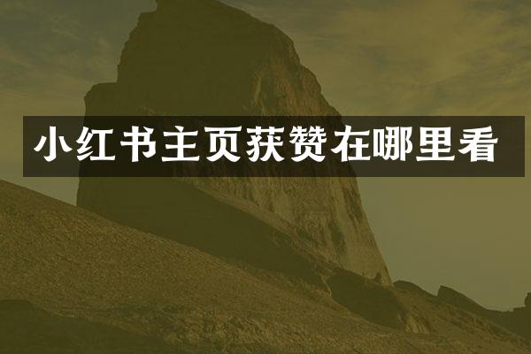 小红书主页获赞在哪里看