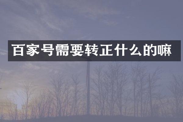 百家号需要转正什么的嘛
