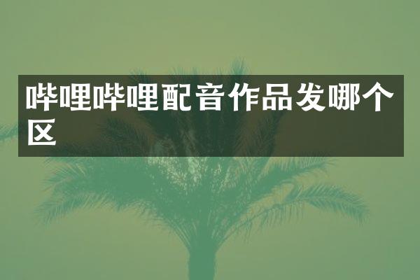 哔哩哔哩配音作品发哪个区