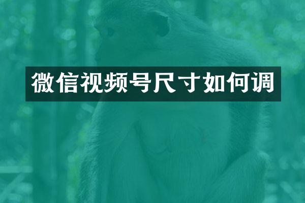 微信视频号尺寸如何调