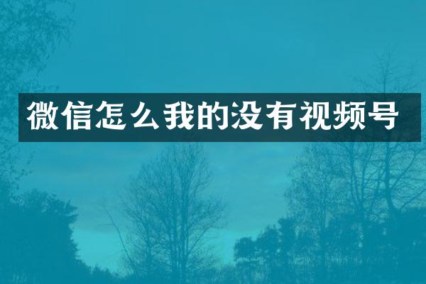 微信怎么我的没有视频号
