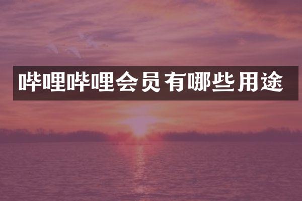 哔哩哔哩会员有哪些用途